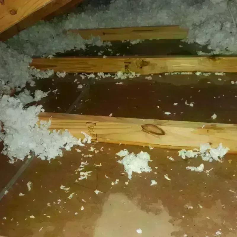 Attic Water Damage in Walthourville, GA